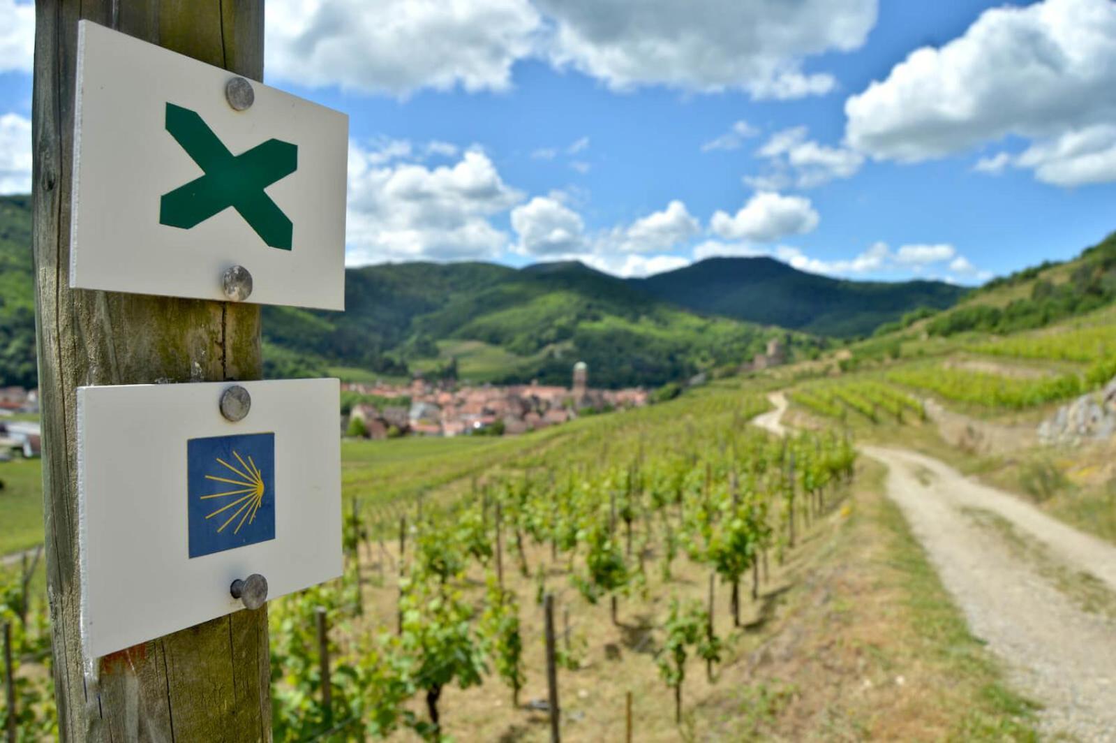 Naova Cosy Studio Kaysersberg-Vignoble Eksteriør billede